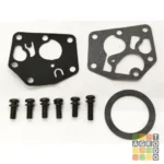 Carburador Briggs&Stratton 3.50HP 450 Vertical BS 498809 795477 - Imagen 5