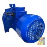 Bomba De Agua Centrífuga Biturbina 220v 1.5 Hp 7.5m3/h - Imagen 4