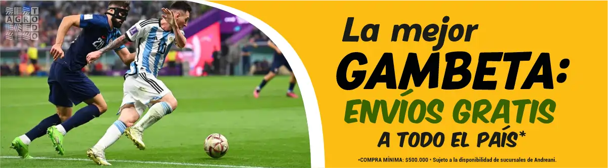 WEB envios fifa