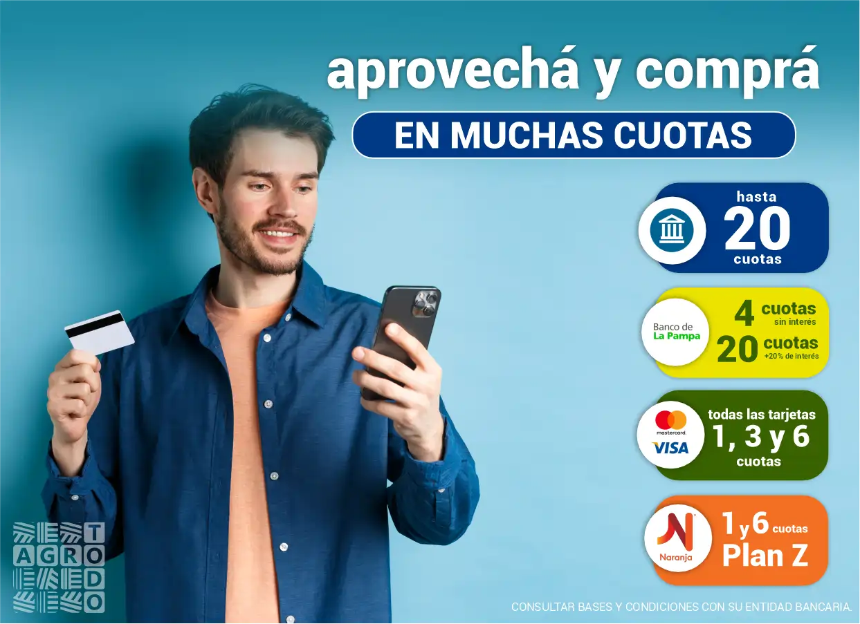 WEB responsive tarjetas