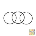 Juego de Aros STD 5 HP Eje Vertical Briggs & Stratton BS493261 Original