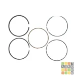 Juego de Aros STD 3.75/4.50 | Briggs & Stratton BS791098